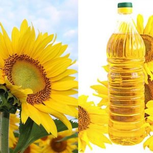 buy sunflower oil online,