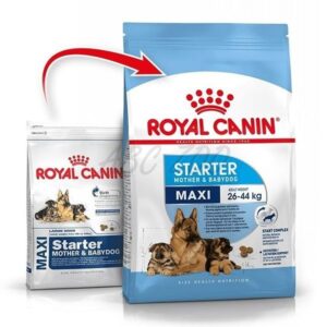 royal canin for sale