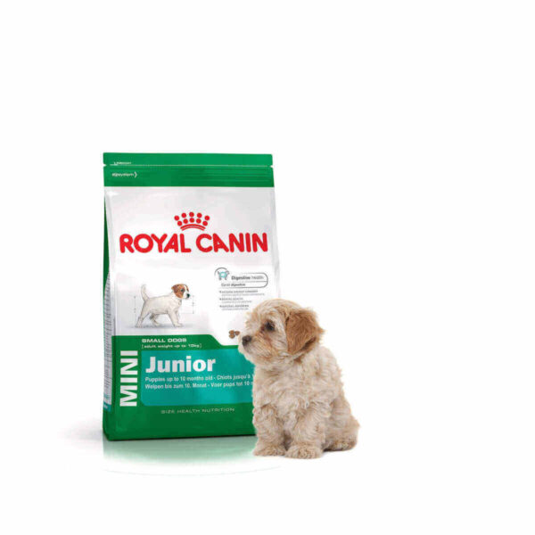 royal canin online for sale